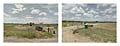 East 129 Road, Wewoka, Oklahoma.  180&deg; Diptych.  Keystone XL Pipeline construction corridor.  Google Street View 2013.