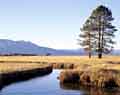 lake tahoe historic photography landscape