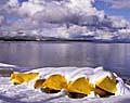 Yellow Kayaks in Fall.  Lake Tahoe, California.