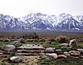 Hospital. Manzanar, California.