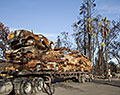 Cars on flatbed. Coffey Park neighborhood. Tubbs Fire aftermath. Santa Rosa, California.