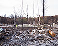 Hidden Pine Ct neighborhood. Tubbs Fire aftermath. Santa Rosa, California.