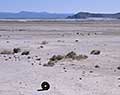 Trona, California.