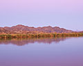 Colorado River. Picacho State Recreation Area. California.