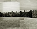 Meadow.  Pt. Reyes National Seashore, CA.