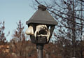 Street Lamp. Hiller Highland. Aftermath Oakland Firestorm 1991.