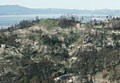 Foundations. Berkeley Hills.  Oakland Firestorm 1991.