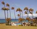 Pool and Palms. Internet travel destination story photographer.