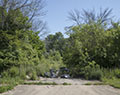 Illegal dumping. Read Ave. Love Canal. Niagara, NY