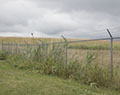 Superfund Site boundary fence. Griffin Park. Love Canal. Niagara Falls, NY