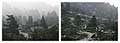 Mountain Blvd and Monzal, Pre-Oakland Firestorm and Post-Conflagration. Oakland California 1991/2019.