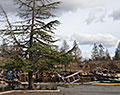 Grocery store. Aftermath of Camp Fire. Paradise, California.