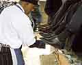 Shoe shine. City editorial publication story photographer